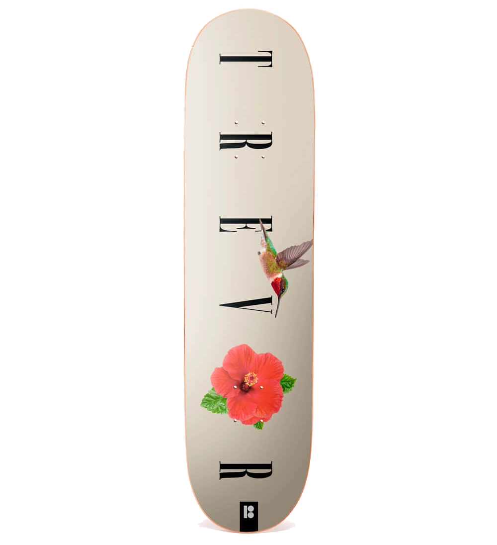 Plan B Skateboards Hummer McClung Deck 8.25