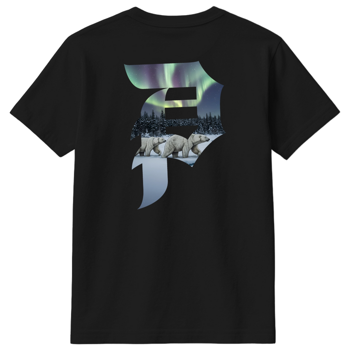 Primitive x Mehrathon Northern Lights Tee Black with Canadian-inspired front and back graphics.